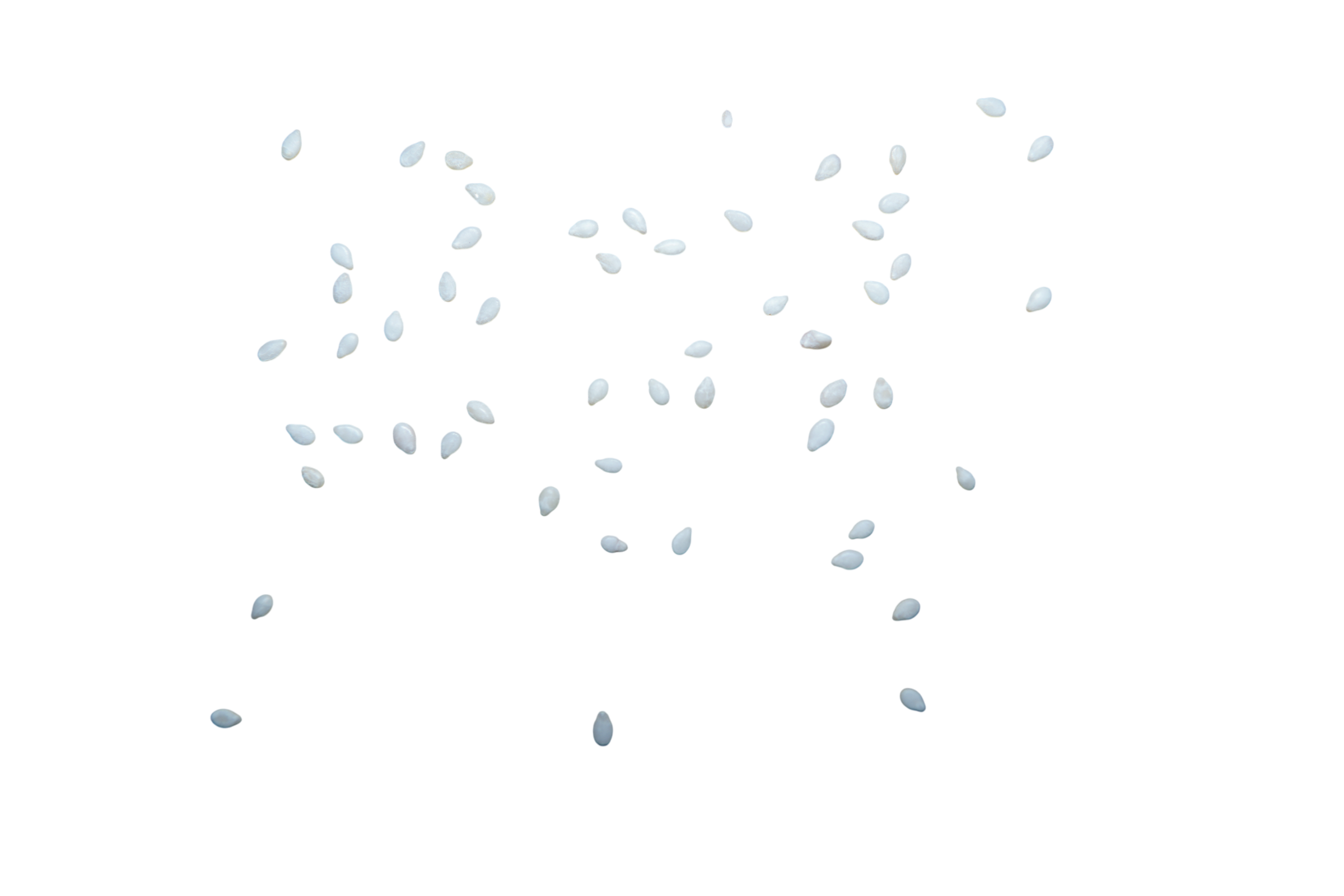 seed 2